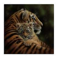 Collin Bogle | Cherished Tiger Cub