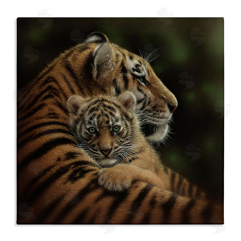 Collin Bogle | Cherished Tiger Cub