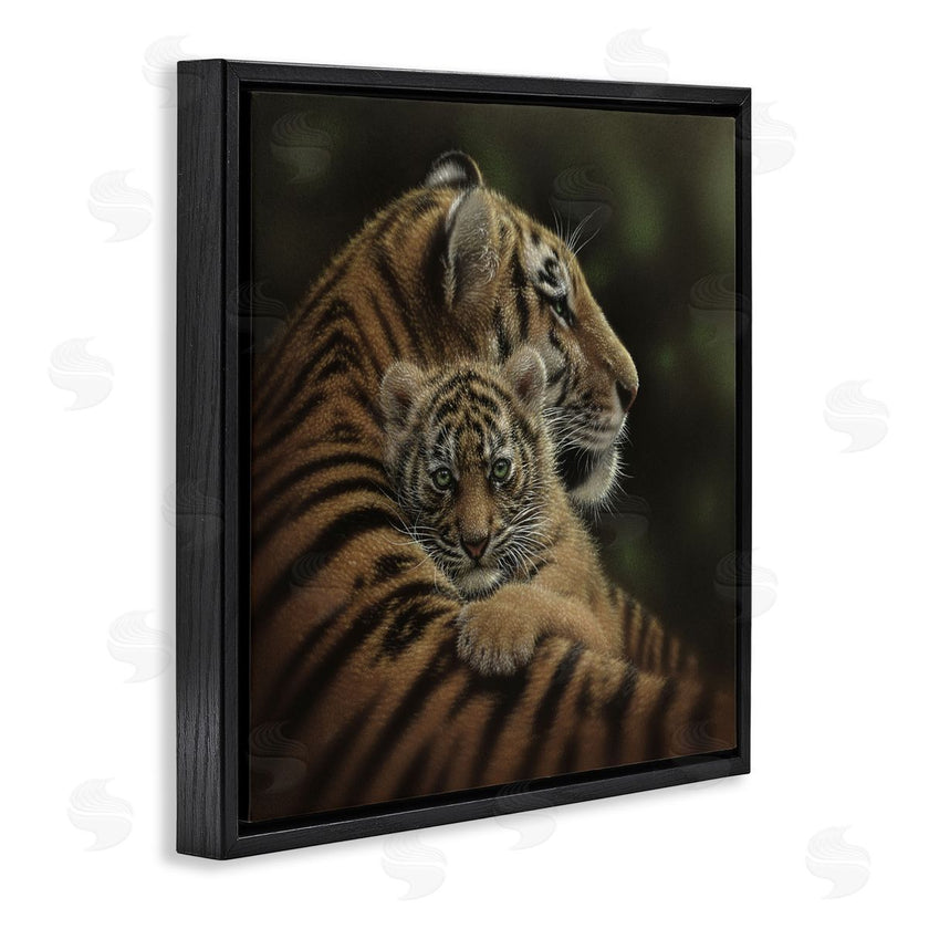 Collin Bogle | Cherished Tiger Cub