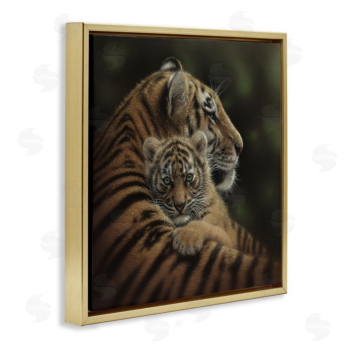 Collin Bogle Cherished Tiger Cub Canvas Wall Art Print