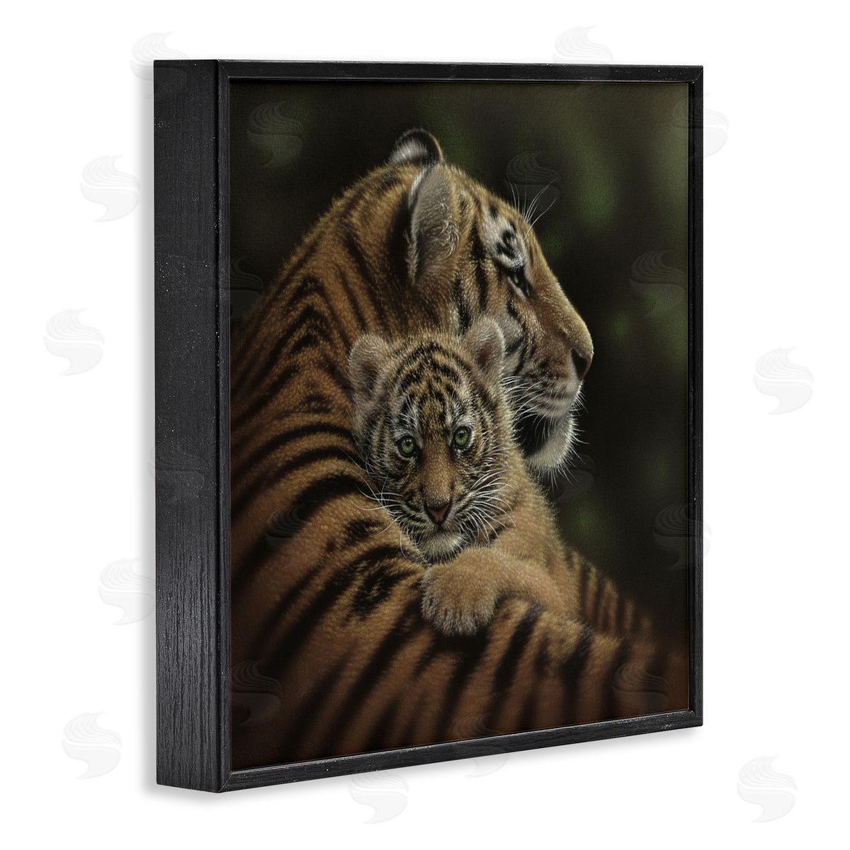 Collin Bogle Cherished Tiger Cub Canvas Wall Art Print
