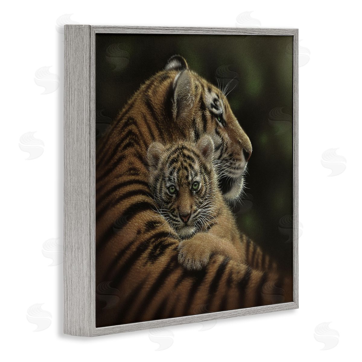Collin Bogle Cherished Tiger Cub Canvas Wall Art Print