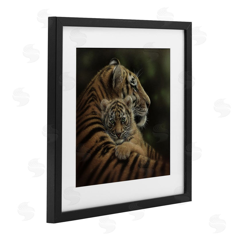 Collin Bogle | Cherished Tiger Cub
