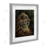 Collin Bogle | Cherished Tiger Cub