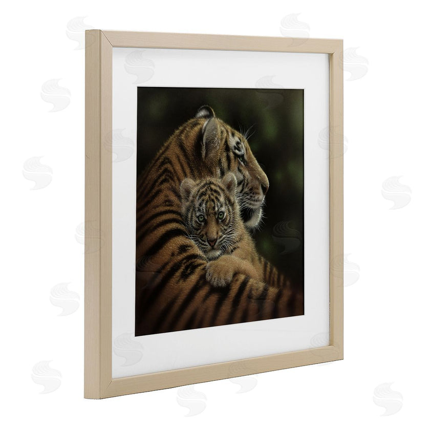 Collin Bogle | Cherished Tiger Cub
