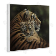 Collin Bogle | Cherished Tiger Cub