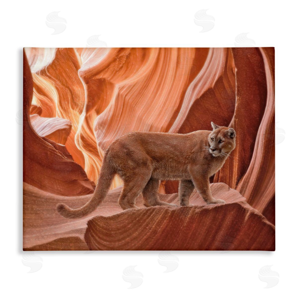 Collin Bogle Cougar Canyon View Canvas Wall Art Print