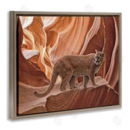 Collin Bogle | Cougar Canyon View