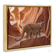 Collin Bogle | Cougar Canyon View