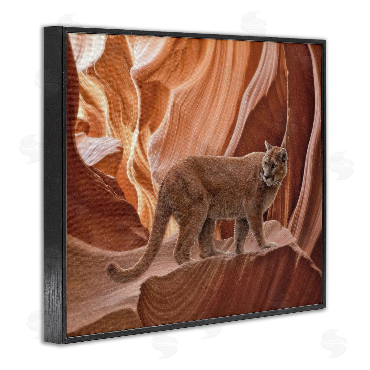 Collin Bogle Cougar Canyon View Canvas Wall Art Print