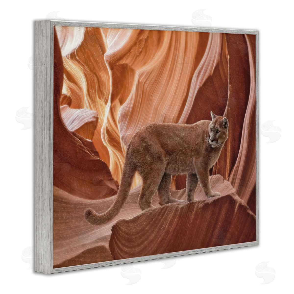 Collin Bogle Cougar Canyon View Canvas Wall Art Print