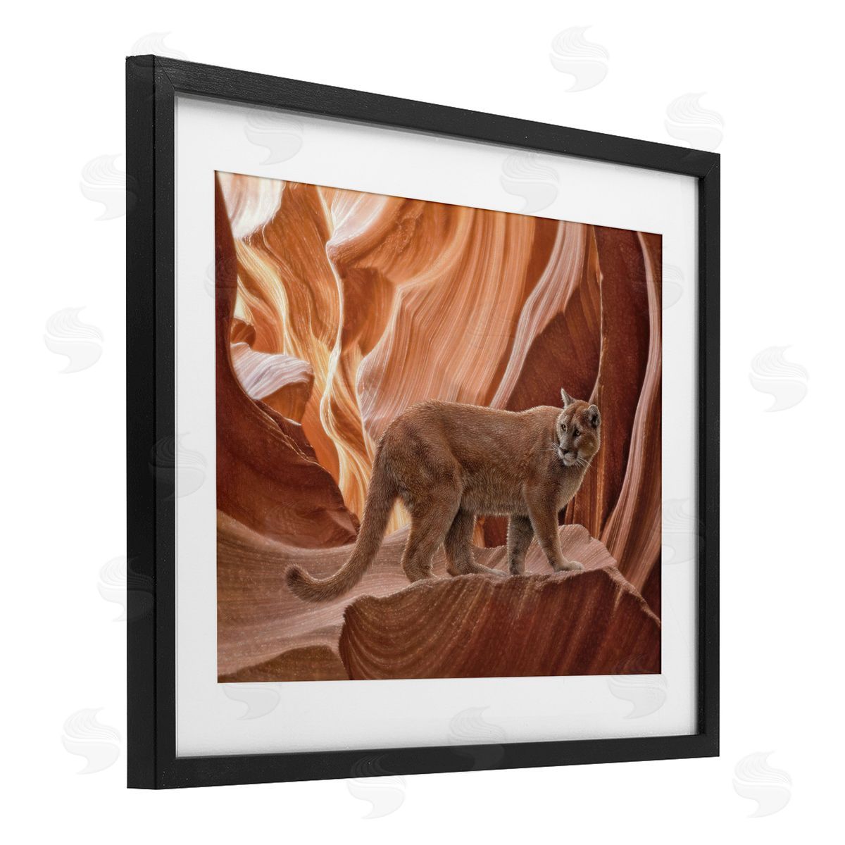 Collin Bogle Cougar Canyon View Canvas Wall Art Print