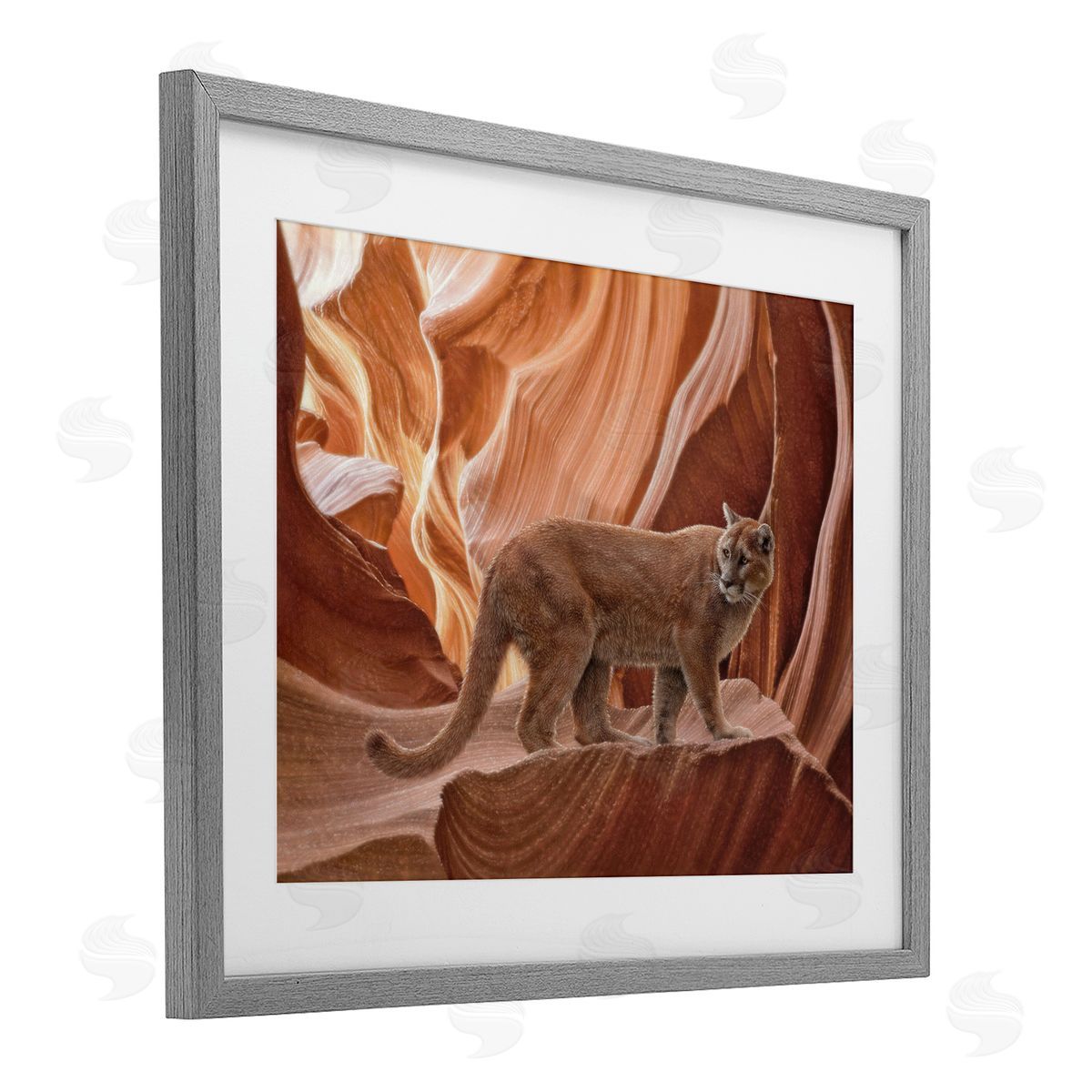 Collin Bogle Cougar Canyon View Canvas Wall Art Print