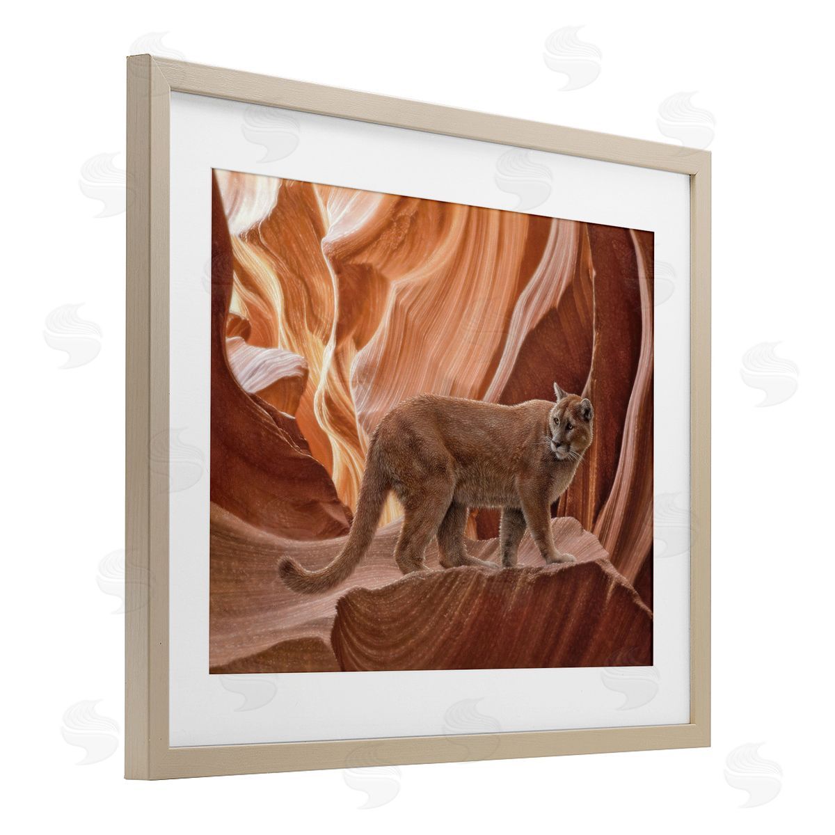 Collin Bogle Cougar Canyon View Canvas Wall Art Print
