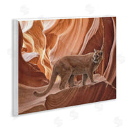 Collin Bogle | Cougar Canyon View