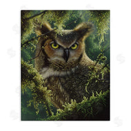 Collin Bogle | Watching And Waiting Owl