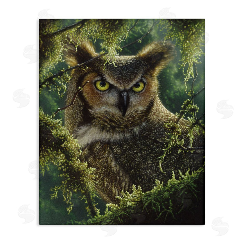 Collin Bogle | Watching And Waiting Owl
