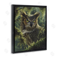 Collin Bogle | Watching And Waiting Owl
