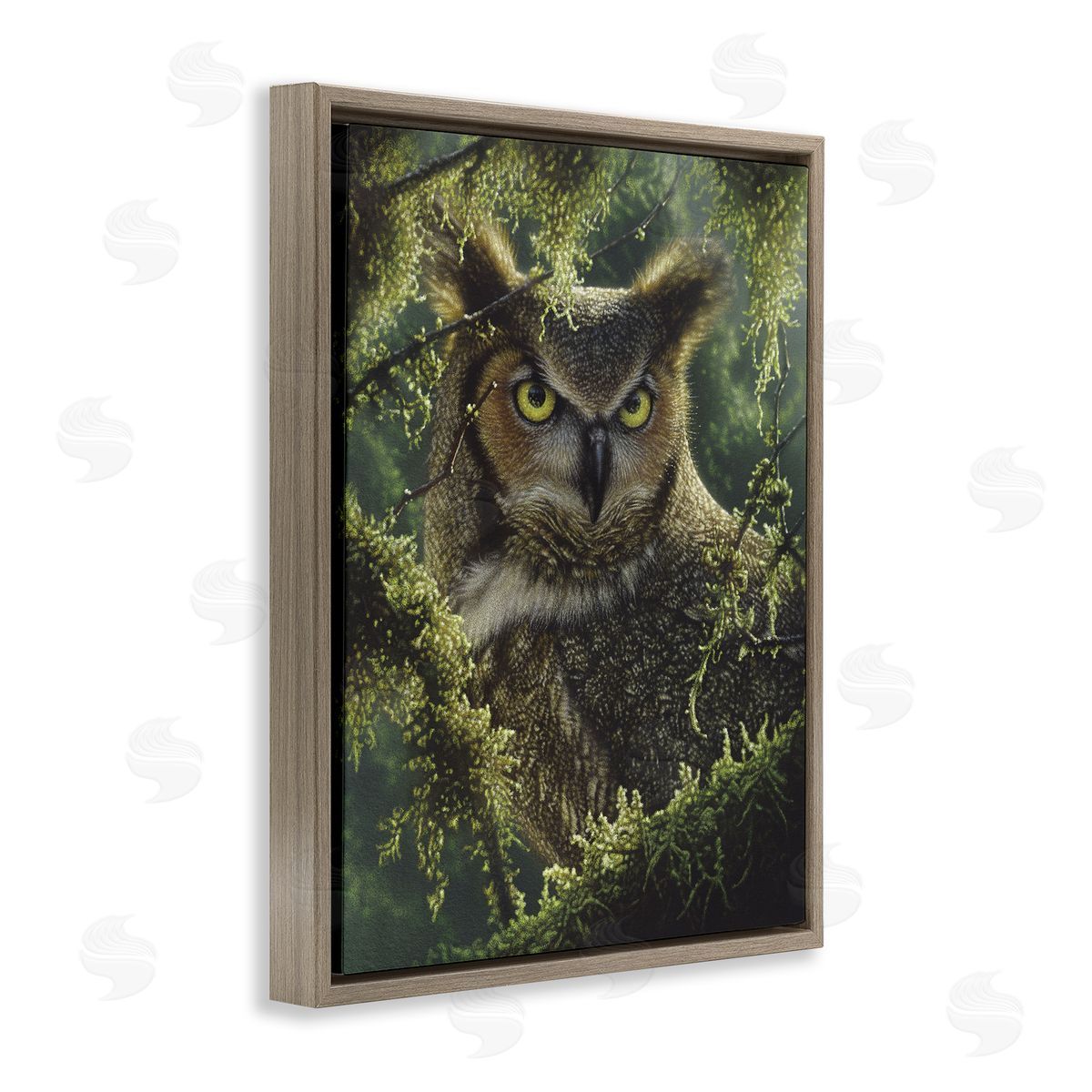 Collin Bogle Watching And Waiting Owl Canvas Wall Art Print