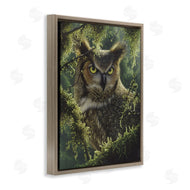 Collin Bogle | Watching And Waiting Owl
