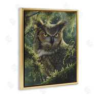Collin Bogle | Watching And Waiting Owl