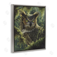 Collin Bogle | Watching And Waiting Owl