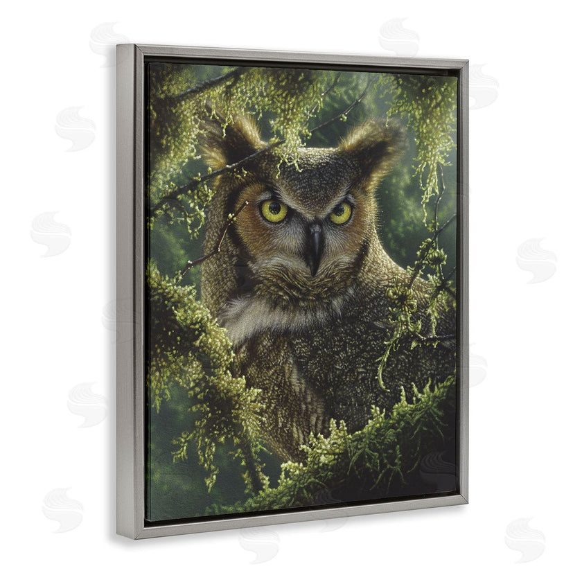 Collin Bogle | Watching And Waiting Owl