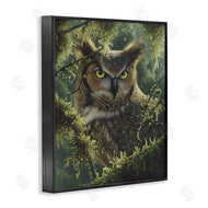 Collin Bogle | Watching And Waiting Owl