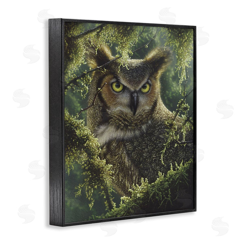 Collin Bogle | Watching And Waiting Owl