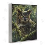 Collin Bogle | Watching And Waiting Owl