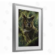 Collin Bogle | Watching And Waiting Owl
