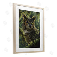 Collin Bogle | Watching And Waiting Owl