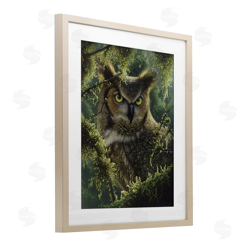 Collin Bogle | Watching And Waiting Owl