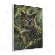 Collin Bogle | Watching And Waiting Owl