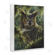 Collin Bogle | Watching And Waiting Owl