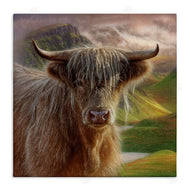 Collin Bogle | Butterscotch Highland Cow