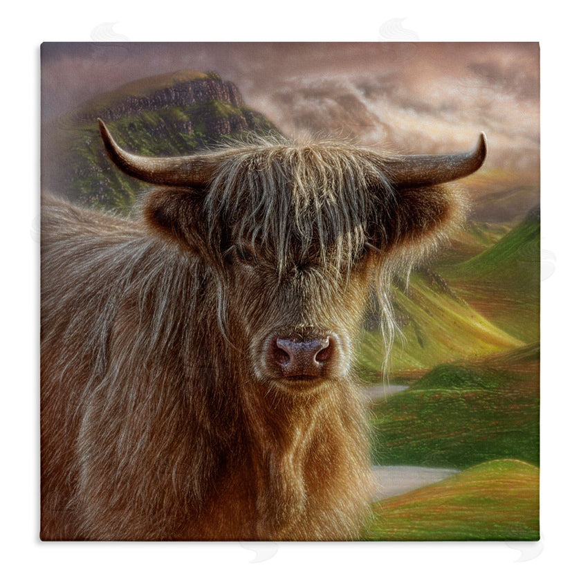 Collin Bogle | Butterscotch Highland Cow