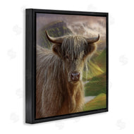 Collin Bogle | Butterscotch Highland Cow