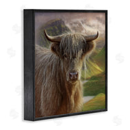 Collin Bogle | Butterscotch Highland Cow
