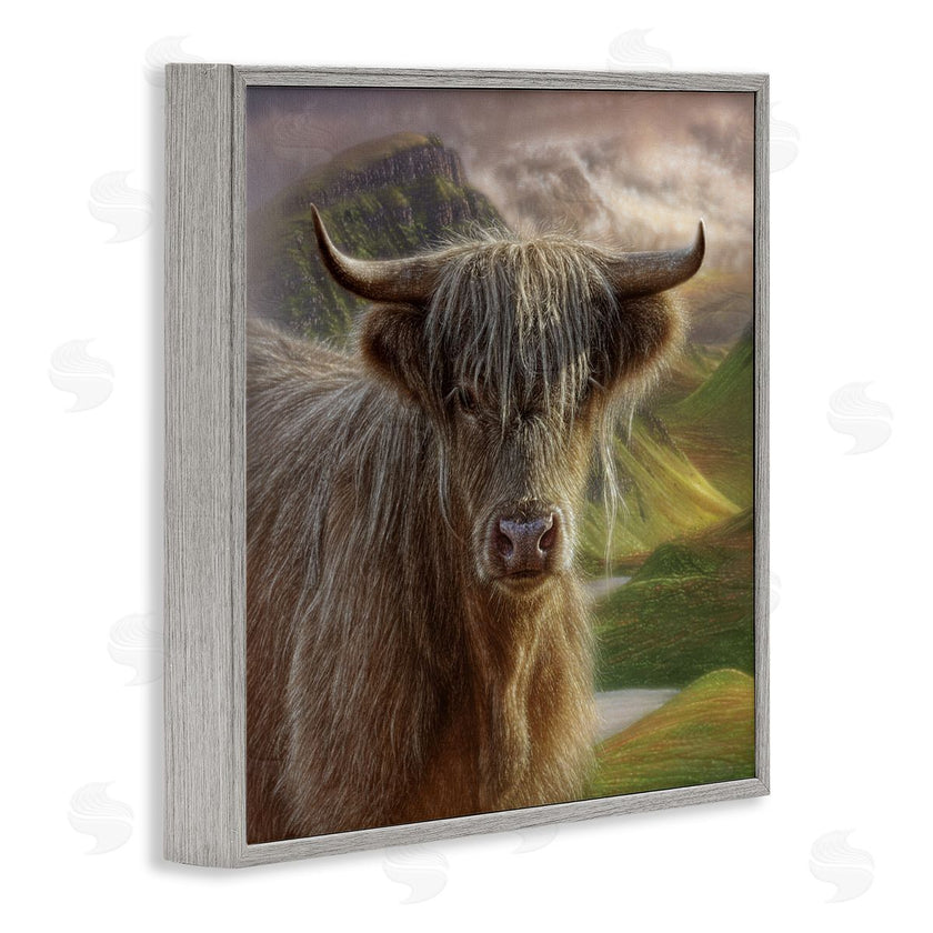 Collin Bogle | Butterscotch Highland Cow