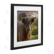 Collin Bogle | Butterscotch Highland Cow