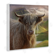 Collin Bogle | Butterscotch Highland Cow