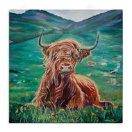 Carrie Goller | Highland Cattle Windblown