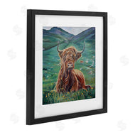 Carrie Goller | Highland Cattle Windblown