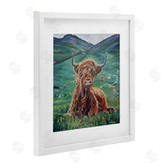 Carrie Goller | Highland Cattle Windblown
