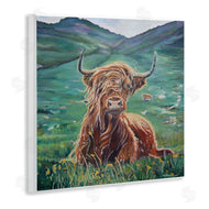 Carrie Goller | Highland Cattle Windblown