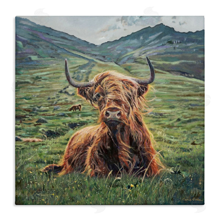 Carrie Goller | Windblown Cattle Mountain Valley