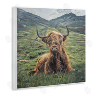 Carrie Goller | Windblown Cattle Mountain Valley
