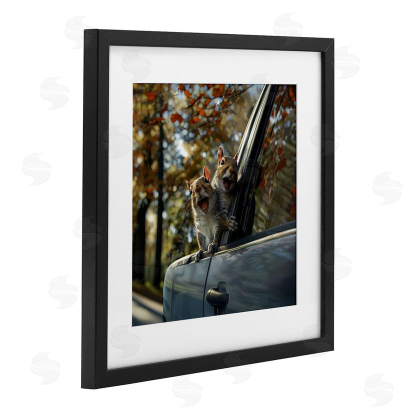 Jim Baldwin | Funny Squirrel Truck