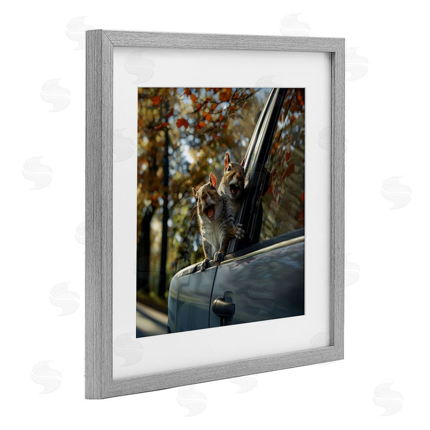 Jim Baldwin | Funny Squirrel Truck